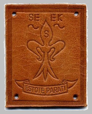 the seeker's apprentice badge